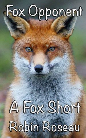 [The Fox Shorts 03] • Fox Opponent